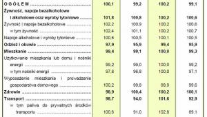 Inflacja w czerwcu 2016 źródło: GUS
