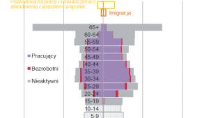 Podaż pracy w Polsce wg płci i wieku (w osobach, 2015 r.), źródło: NBP