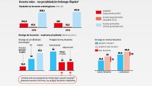 Koszty leczenia raka na przykładzie Dolnego Śląska
